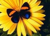 Obituary of Rita McGlynn