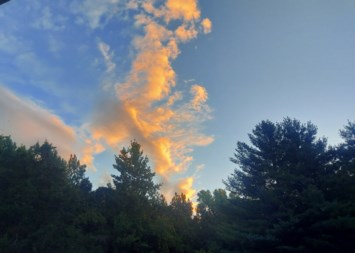 Obituary of William Edward Kiesel