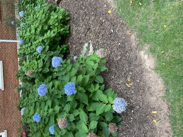 Avis de décès de Betty Daniels