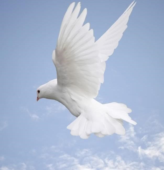 Obituario de John L. Cyr