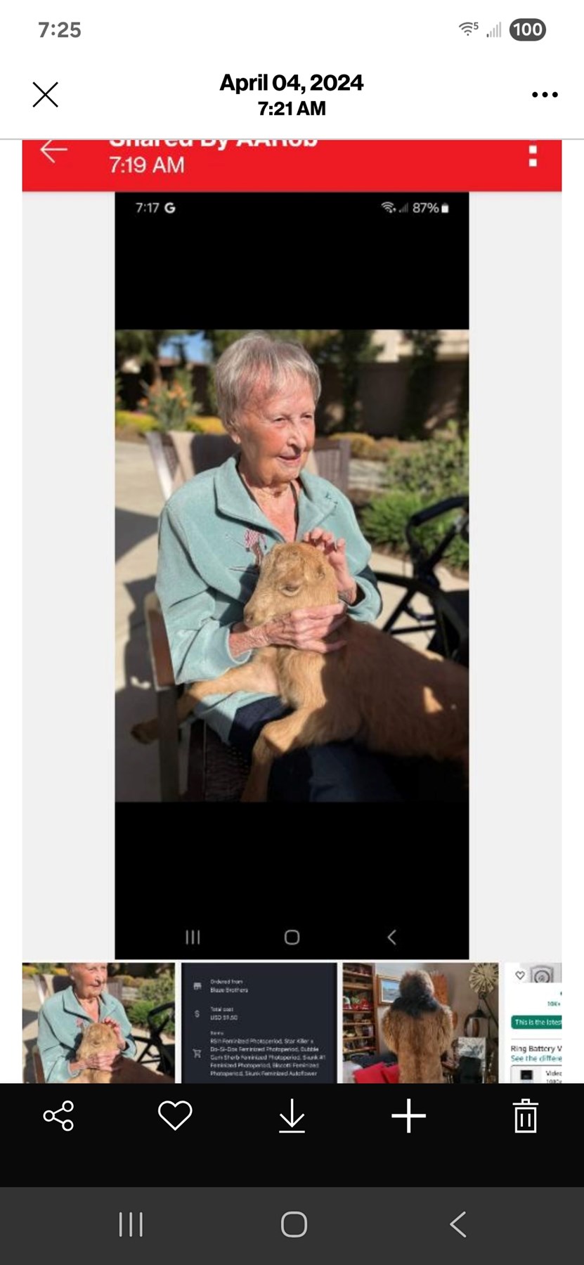 Obituary of Pauline Gragnani Beene