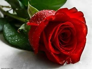 Obituario de Nancy B. Lacy