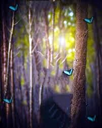 Obituary of Beverly Jean Worthington