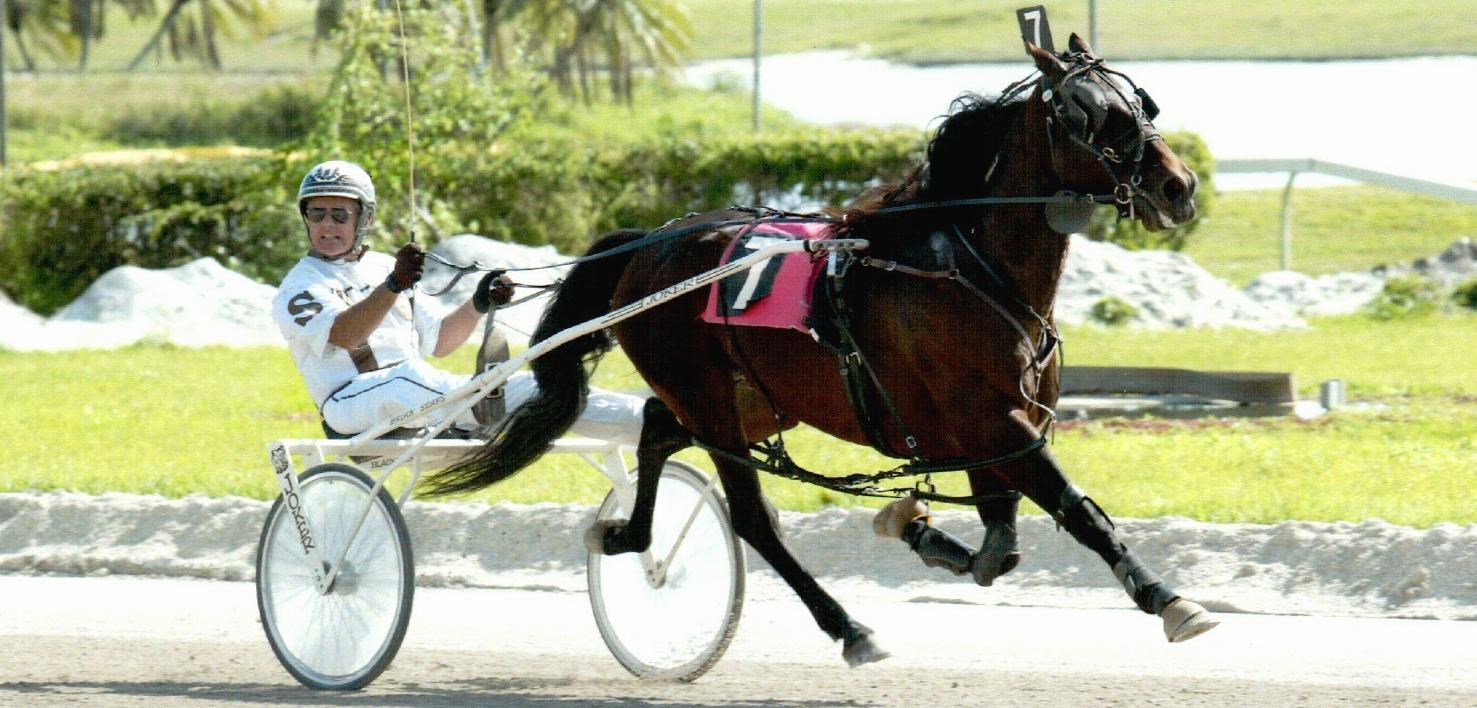 Obituary of Jay C. Sears