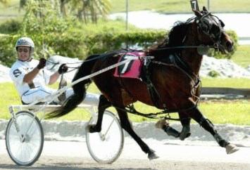 Obituary of Jay C. Sears