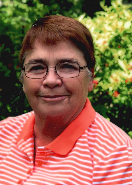 Obituary of Suellen Louise (Schenck) Norval