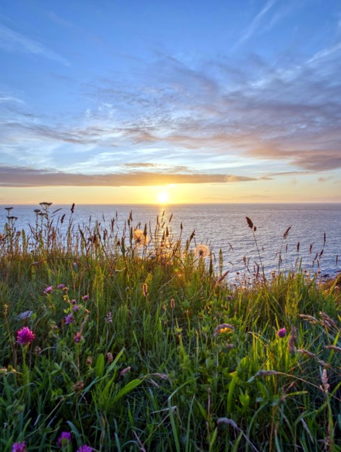 Obituary of Thomas Orville Lamvik