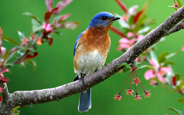 Obituary of Mary Sue Stilson