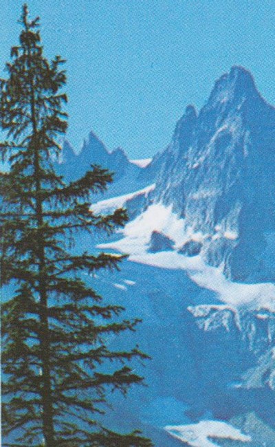 Obituary of Richard Charles Martin