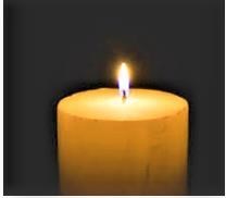 Obituary of Gaye Feuer