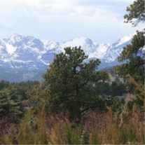 Obituary of Leroy D. Hart