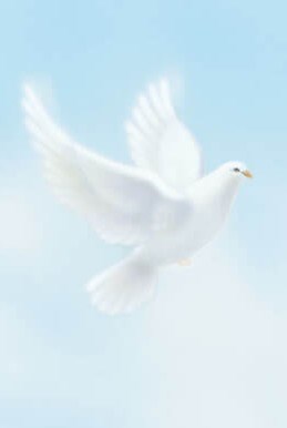 Obituary of Dorothy M. Dolfini