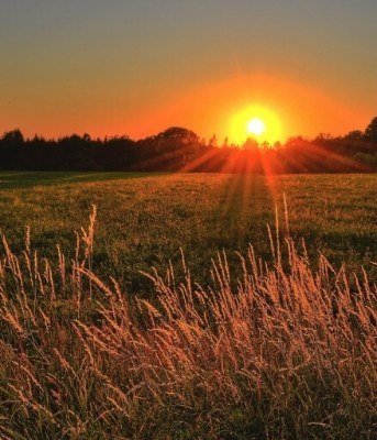 Obituary of Dorothy Garr