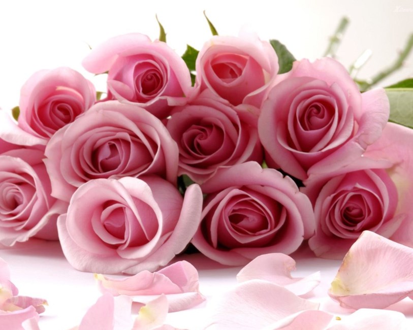 Obituary of Janet Darleen Bauer Dickerscheid