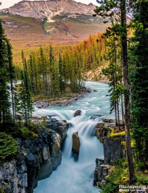 Obituary of Carolyn Maxine Janes