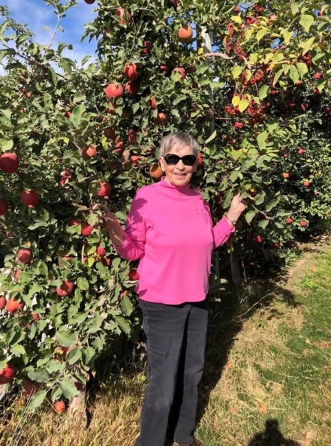 Obituary of Patricia Louise Clayton