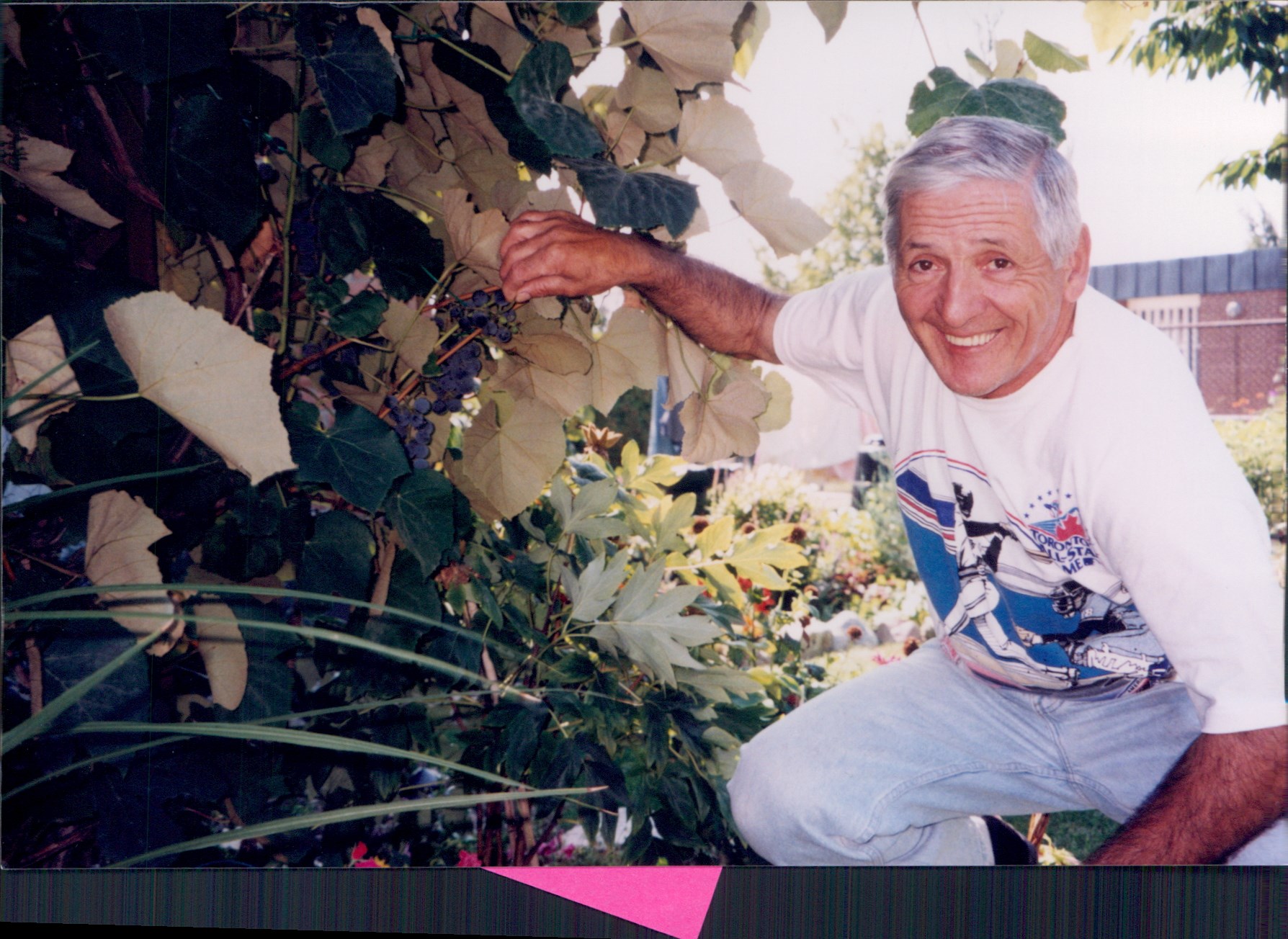 Obituary of Sam Drolet