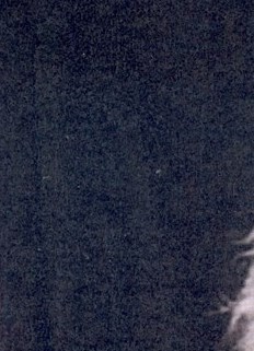 Thomas Edward Evans Obituary Tyler, TX