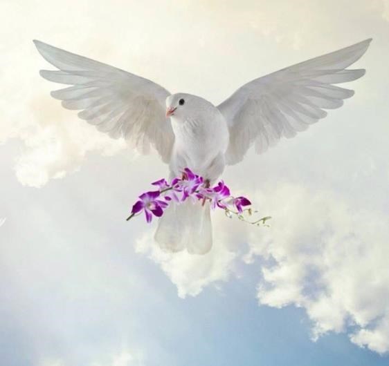 Obituary of Juan Castro Acedo