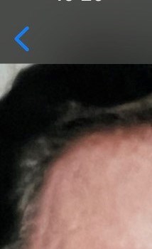 Raymond David Sanborn Sr. Obituary Scituate, MA