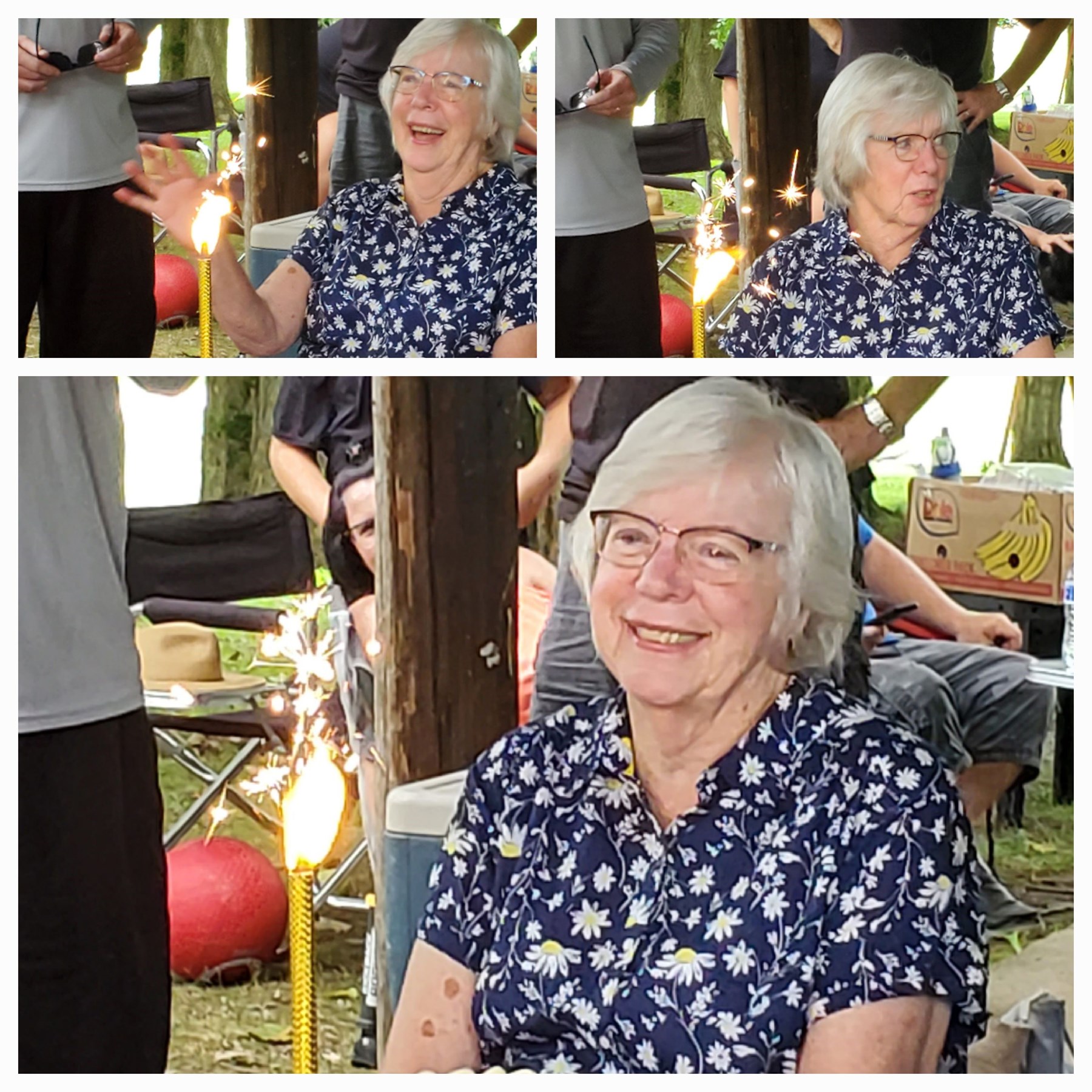 Obituary of Mary Snyder Ashbrook