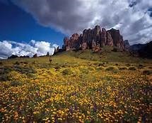 Avis de décès de Diane Ella Andrews