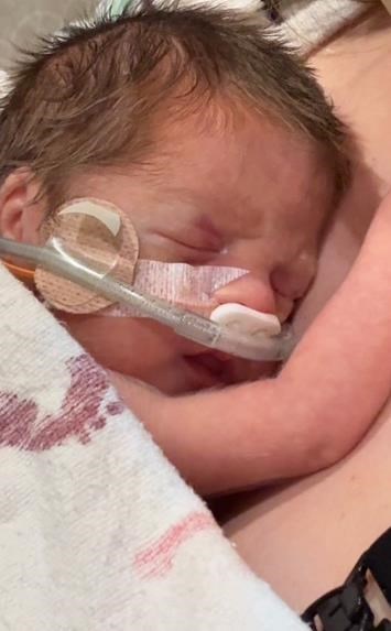 Obituary of Liam Michael Chapman