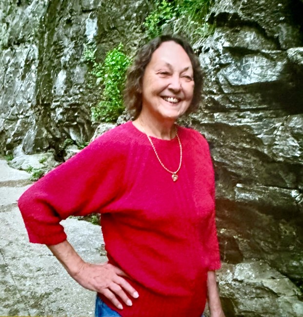 Obituary of Joyce Davis Schneider