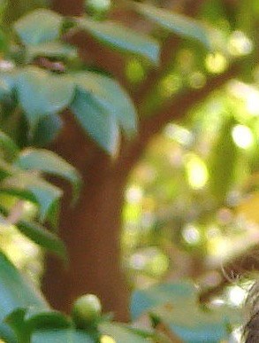 Bruce Simms Obituary - LaGrange, GA