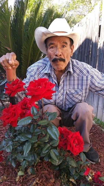 Obituary of Jose Dimas Leon