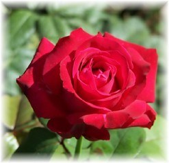 Obituary of Ruby Anne Anderson