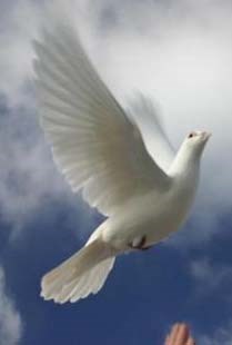 Obituary of Loretta Charles Bartley