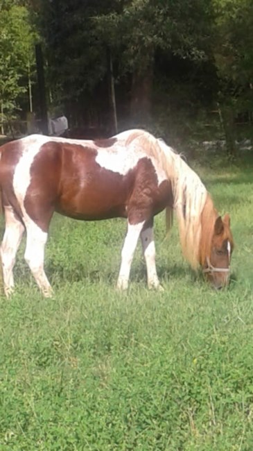 Obituary of Thelma Watson