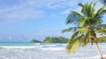 Obituary of John Reginald Chitty Sr.