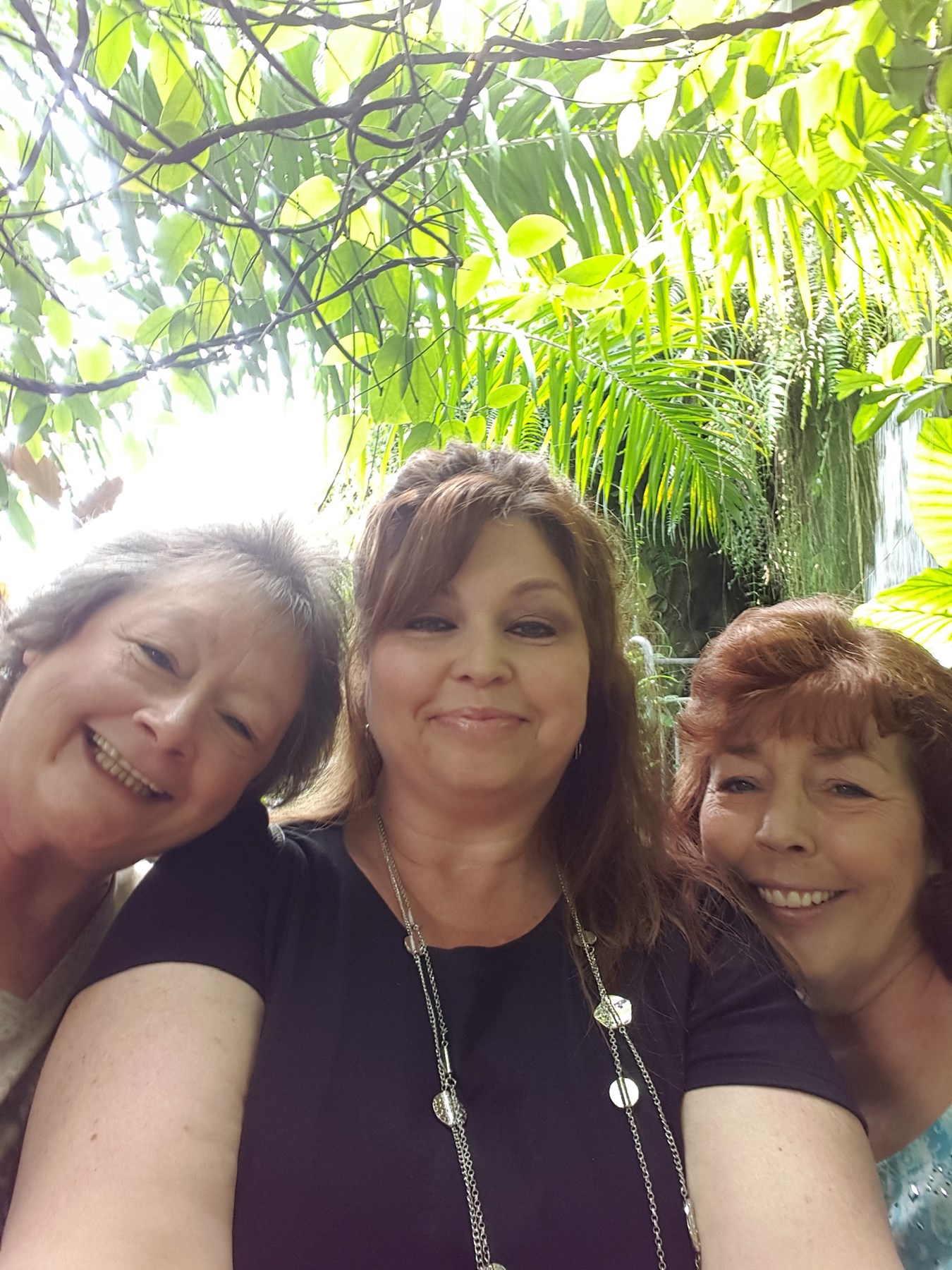 penny-wheeler-obituary-richardson-tx