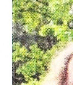 Timothy Barrett Obituary Louisville, KY