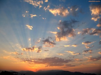 Obituary of Michael M. Cubicciotti