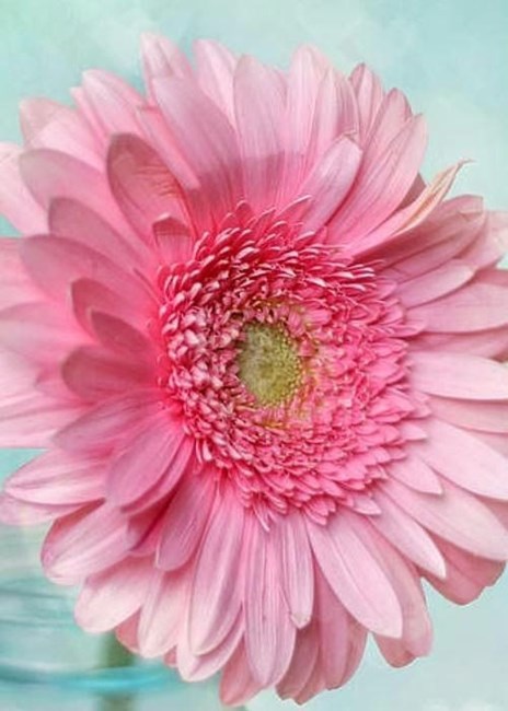 Obituary of Delores Irene Burton