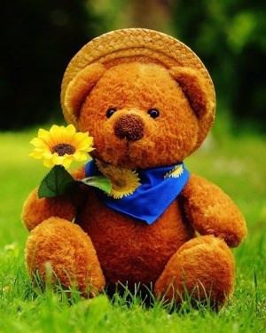 Obituary of DeLonie Lamont Williams