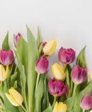 Obituary of Barbara Louise Kelley