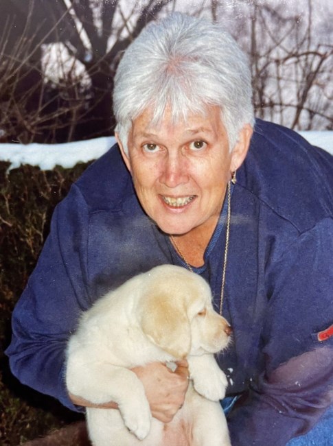 Obituary of Shirley Anne Cook Somerville