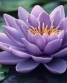 Obituary of Margie M Hartling