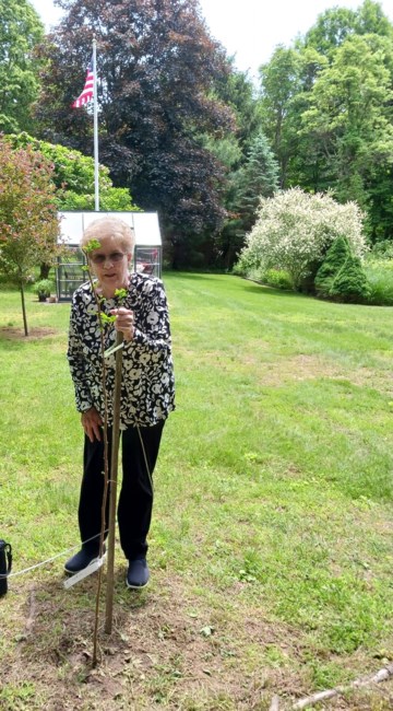Obituary of Patricia Roach Carlson