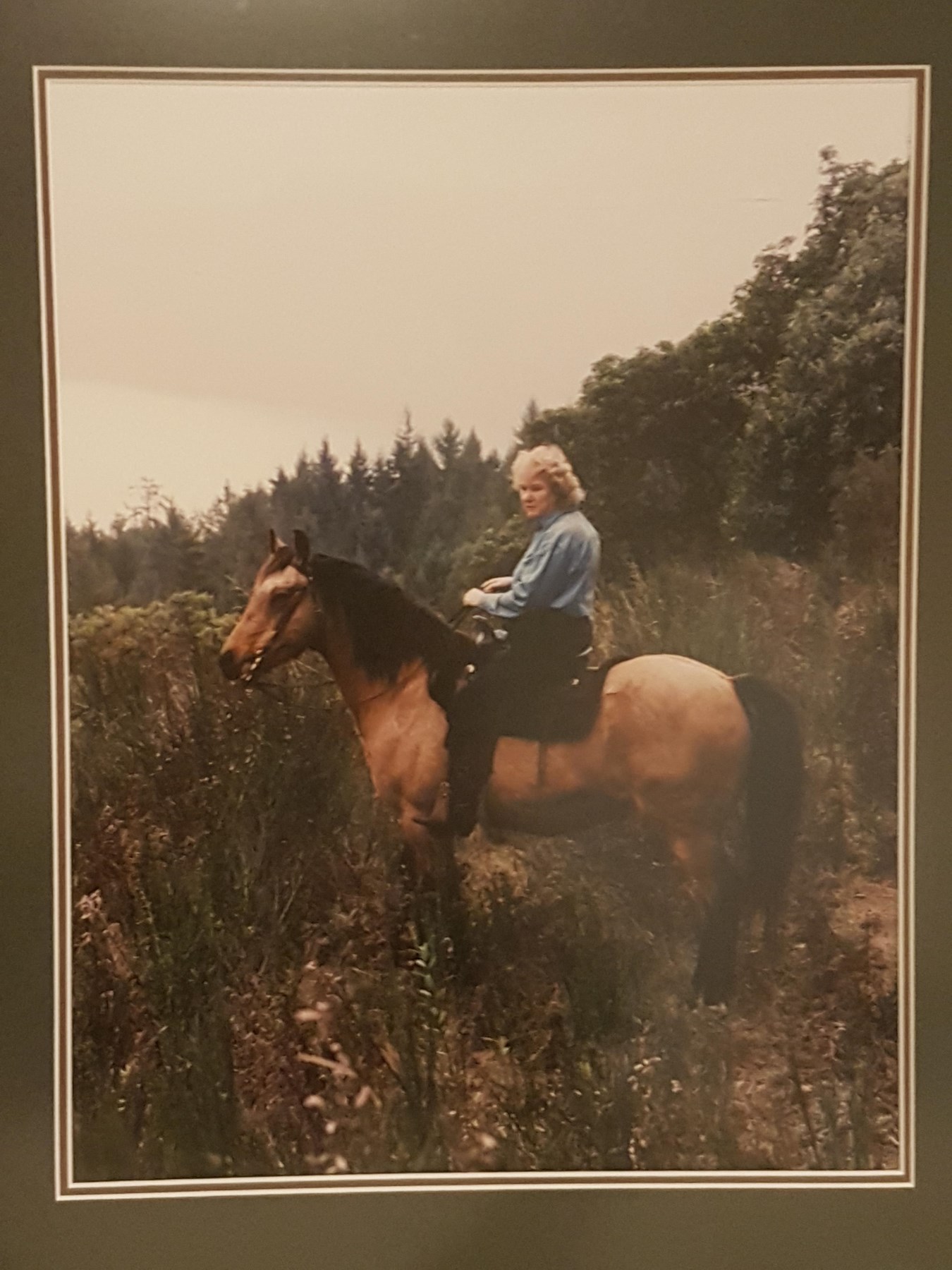 Avis de décès de Connie Jeannette Lamont