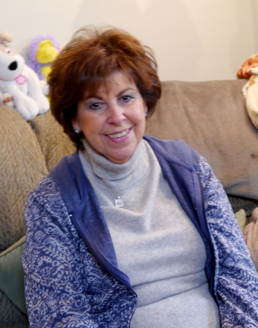 Obituary of Sheila Cohen