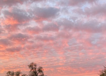 Obituary of Mildred Clara Peiffer