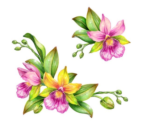 Obituary of Donna Marie Mcgrath