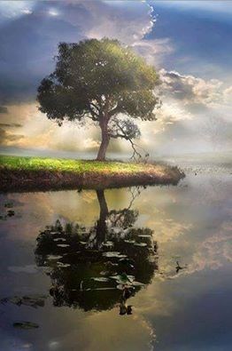 Obituary of Charles G. Bartenfeld