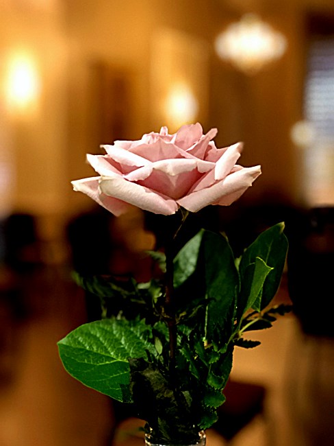 Obituary of Evelyn Lorain French