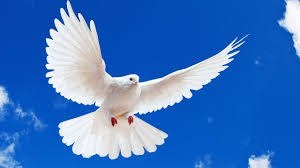 Obituary of Brenda Bentley